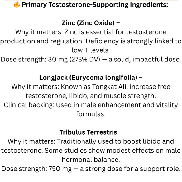 Alphamin Core Bundle - Daily Support for Men's Vitality & Wellness